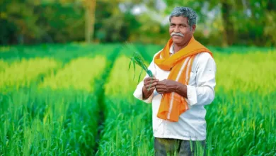 আপনি কি একজন কৃষক? আপনি যদি কৃষক হয়ে থাকেন তাহলে কেন্দ্রীয় সরকার আপনাদের জন্য নিয়ে এসেছে একটা দারুণ খবর।